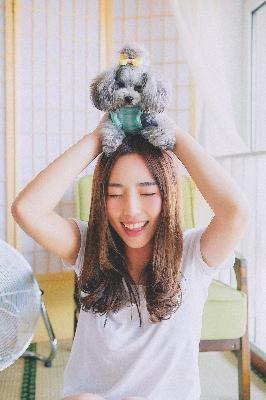 风起大漠 电视剧